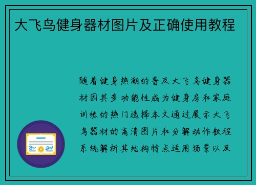 大飞鸟健身器材图片及正确使用教程